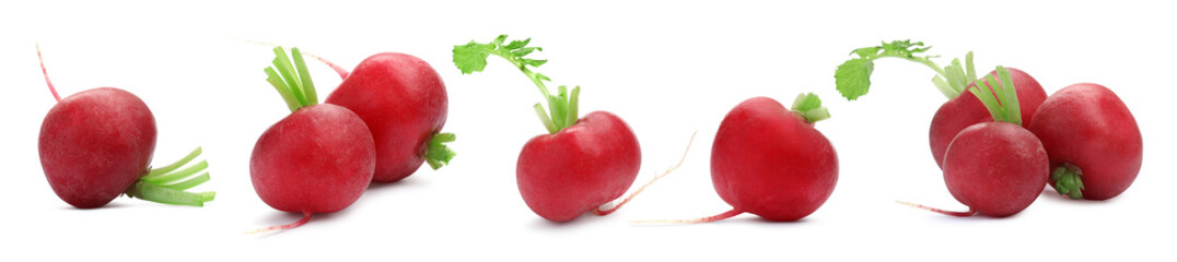 Many fresh radishes isolated on white, set