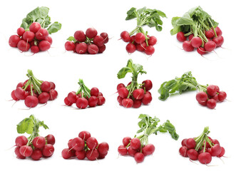 Many fresh radishes isolated on white, set