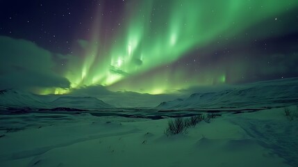 Naklejka premium A vast aurora over a snow-covered landscape