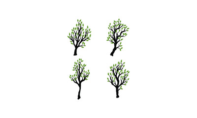 black tree branch with green leaves