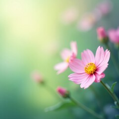 Obraz premium Soft pastel watercolor blooms, blurred dreamy effect, texture, paint