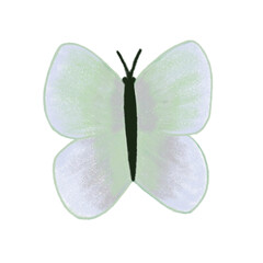 A blue butterfly on a transparent background. Hand-drawn.
