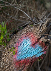 Heart-shaped mark painted into a tree trunk along a hiking road in Portugal