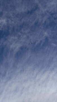 Flying Eagle under the clouds in the sky