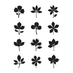 Obraz premium flower-icons-flower-silhouettes-symbol-of-floral-desig Web