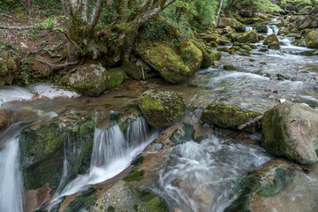 Cascades de la Doria au printemps, massif des Bauges , Saint Jean d' Arvey , Savoie , Alpes France
