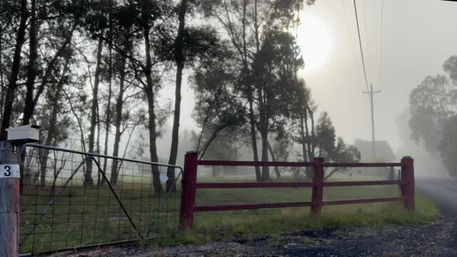 Misty fence farm sun time-laps