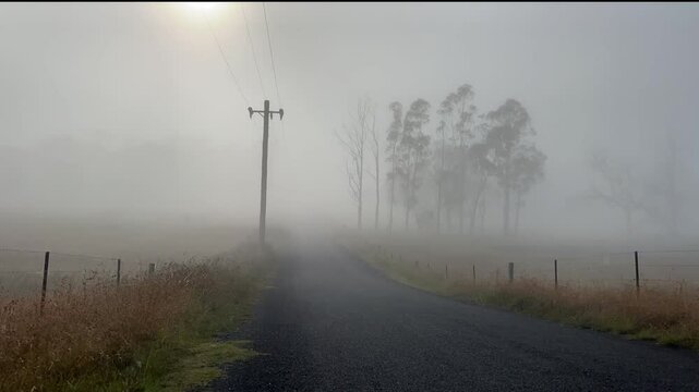 Misty field time-laps tar road