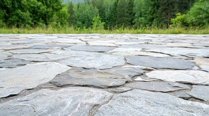 Cobblestone path leading into a forest