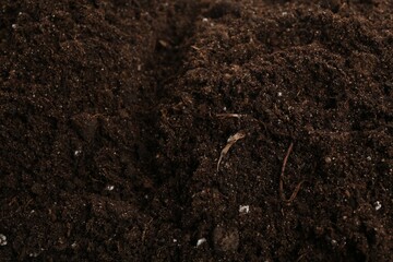 Texture of fresh soil as background, closeup