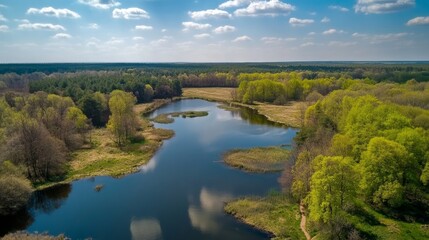 Aerial view of a green forest with a river in the middle, drone photography.