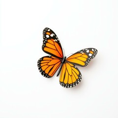 Fototapeta premium A stunning butterfly, perched elegantly, radiates natures beauty against a white backdrop, showcasing delicate wings.
