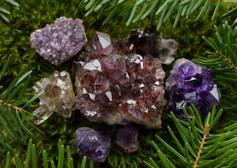 Beautiful purple druse crystals and amethyst geodes close up on green moss. Healing crystals.