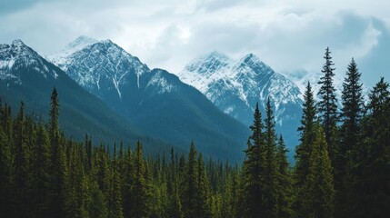 Obraz premium A serene mountain landscape with snow-capped peaks and dense evergreen forests.