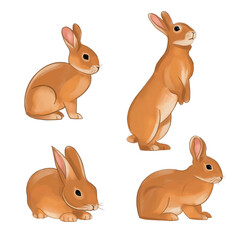 Hand-Drawn Cute Brown Rabbits in Different Poses, Set of four hand-drawn brown rabbits in various poses. Adorable and realistic bunny illustrations, perfect for Easter designs, children's books