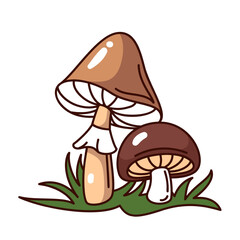 Edible forest mushrooms line vector illustration. Two autumn fungus on grass.