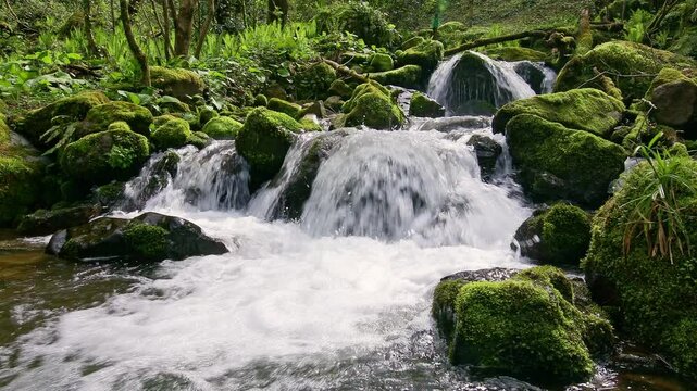 Scenic waterfall flowing over moss-covered rocks in a dense forest in Adjara, Georgia.