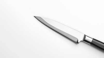 Steel Edge Kitchen Knife with Black Handle for Cutting Food Preparation and Culinary Arts Equipment