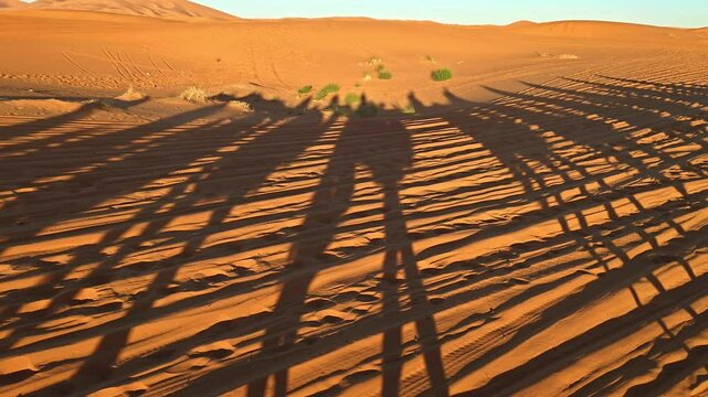 merzouga desert in morocco with camel caravan shadows on golden sand dunes at sunset 
