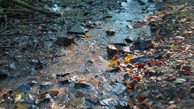 Closeup of a small stream of water flowing past fall gold, yellow and red leaves from the trees