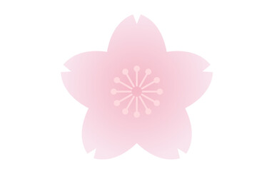 Simple cherry blossom flower illustration, soft and cute spring icon material, vector white background