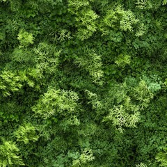 Fototapeta premium A green and yellow plant with a lot of leaves