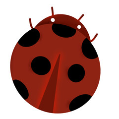 ladybug on white background