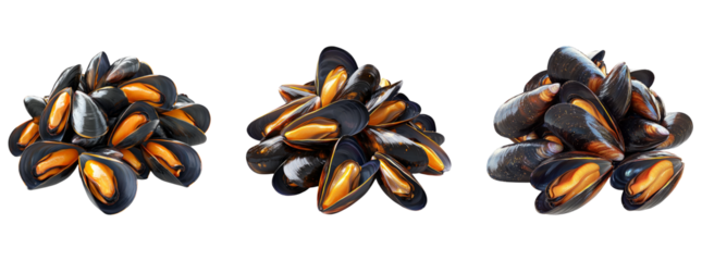 Aesthetic Mussels on Transparent Background