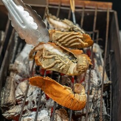 Food is any substance consumed to provide nutritional support for the body. It typically comes from plants, animals, or fungi and contains essential nutrients such as carbohydrates, proteins, fats, vi