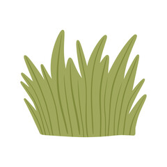 green grass hand drawn illustration. Isolated cartoon simple flat bush 