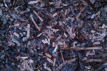 Storm-Washed Seaweed and Debris Mixed with Trash on the Beach Shore