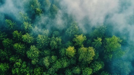 Carbon neutrality strategies for emissions reduction and corporate responsibility.