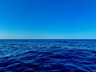 Obraz premium Shades of blue