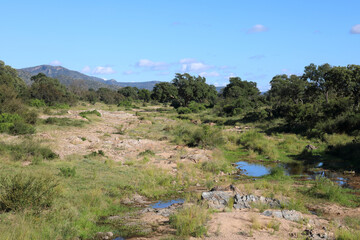 Krüger Park - Afrikanischer Busch - Matjulu River / Kruger Park - African bush - Matjulu River 
