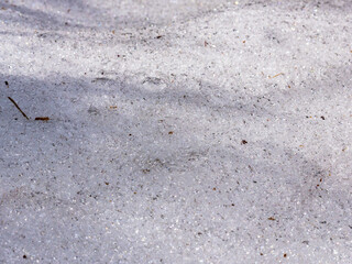 日差しに輝く残雪20