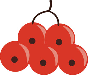 11 Vegetables for a Healthy and Strong Life