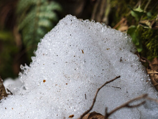 日差しに輝く草むらの残雪29