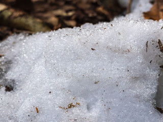 日差しに輝く草むらの残雪34