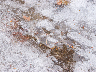 溶けて凍りついた雪と枯葉21