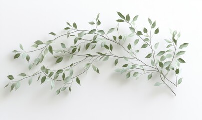 A delicate arrangement of green and gray leaves on a white background, symbolizing nature's tranquility