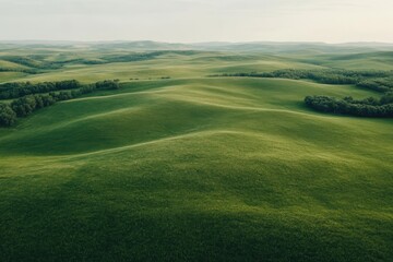 Fototapeta premium Rolling green hills and trees creating a stunning landscape