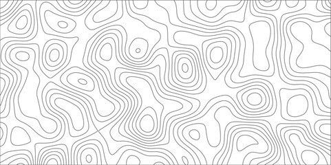 Topographic canyon geometric map relief texture with curved layers and shadow. abstract White background with a beautiful pattern, Topographic contour lines vector map seamless pattern vector.