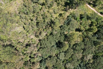 Uma imagem de uma floresta tropical obtida em um sobrevoo com drone, no Brasil. © Ricardo_S_Levenhagen