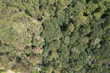 Uma imagem de uma floresta tropical obtida em um sobrevoo com drone, no Brasil.