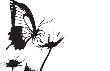 silhouette of butterfly