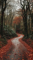 Autumn road curves through forest with fallen leaves, for scenic nature travel