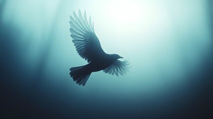 Obraz premium bird flying in the air