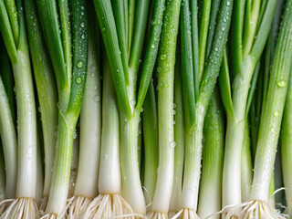 Obraz premium fresh green onions. food, vegetable, green, fresh, onion, organic, healthy, raw, vegetarian, bean, ingredient, isolated, agriculture, plant, white, salad, beans, diet, closeup, vegetables, bunch, fres