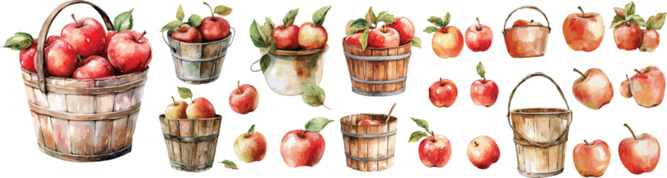 apple bucket watercolor clipart