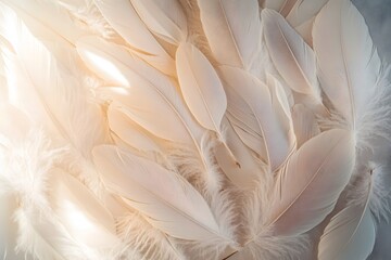 Naklejka premium Intimate Arrangement of Soothing Feathers in Ethereal Hues Conveying Quiet Contemplation